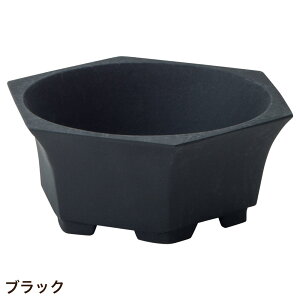 Aؔ  Zp`  A~ Vv u[^|bg rtwLTS