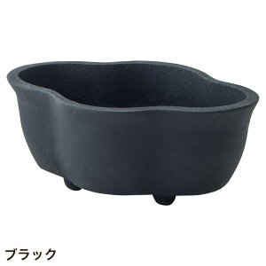 Aؔ   A~ Vv u[^|bg rt؉Z