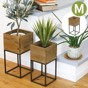 v^[X^h v^[bN ACAX^hEbh{bNX M