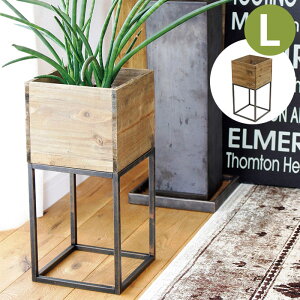 v^[X^h v^[bN ACAX^hEbh{bNX L