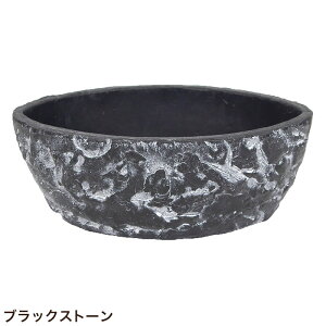 Aؔ   MbhXg[ ubNXg[ I[oS