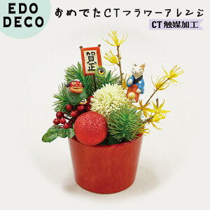  A[gt[ GhfR ߂łCTt[AW Aiꐳqj