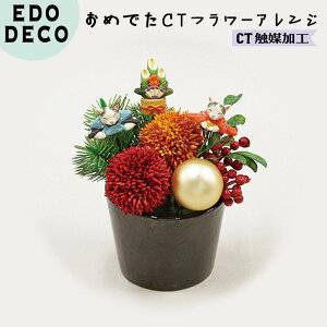  A[gt[ GhfR ߂łCTt[AW Di叼j