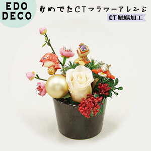  A[gt[ GhfR ߂łCTt[AW FiÂj