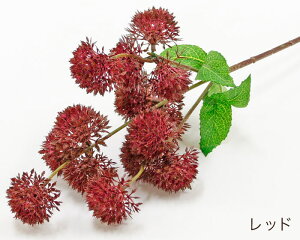 ���� ����͂ɉ� ��{��