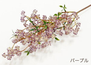 ���� ����͂ɉ� �����ԁi�͂��ǂ��j