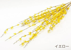 ���� ����͂ɉ� ����