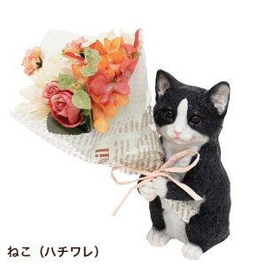 A[gt[  u IuWF Mtg v[g 킢 CT~ju[P i˂  ETM N} p_j