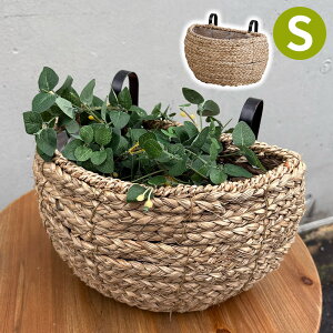 Aؔ Ԃ Ǌ|  AEEhtbNoXPbgES