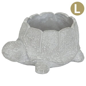 Aؔ 킢 J^  Zg|bg ^[g|bg L