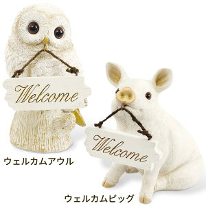 EFJI[ig EFJAE EFJsbO