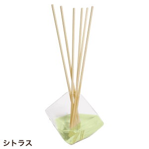 A}fBt[U[ [hft[U[ XNGA