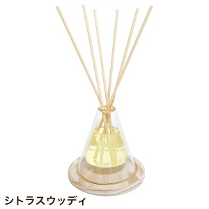 A}fBt[U[ [hft[U[ _uC[KX