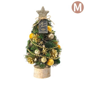 NX}Xc[  ~j   킢 CMi`c[IuWF M C