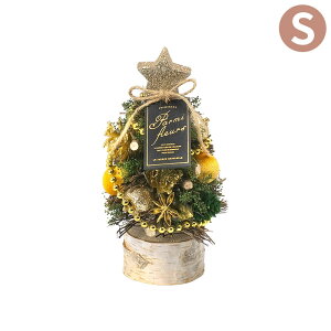 NX}Xc[  ~j   킢 CMi`c[IuWF S C