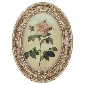 ʐ^ tHgt[  킢 tHgt[ S[hfBbV