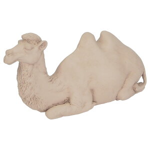 K[fjOG 炭 pk u I[ig IuWF N_IuWF