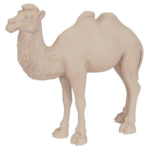 K[fjOG 炭 pk u I[ig IuWF N_IuWF