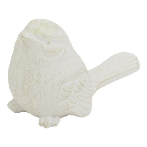 K[fjOG  u I[ig IuWF X[o[h