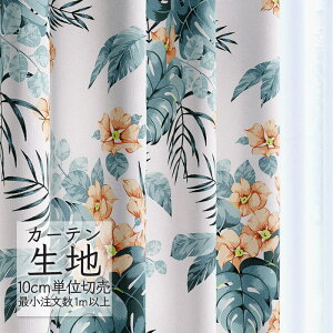 J[en ؂蔄 VR[ melodia i` h[v IAVX ML-1200 i1mȏ10cmPʁj