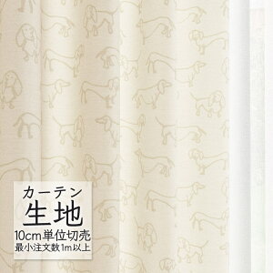 J[en ؂蔄 VR[ melodia i` h[v _bNX ML-1210 i1mȏ10cmPʁj