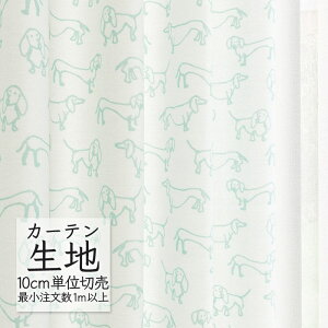 J[en ؂蔄 VR[ melodia i` h[v _bNX ML-1211 i1mȏ10cmPʁj