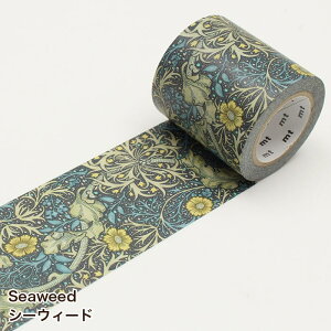 }XLOe[v mt EBAEX 50mm×10m