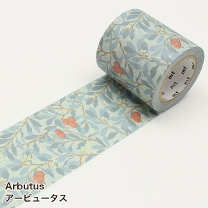 }XLOe[v mt EBAEX 50mm×10m