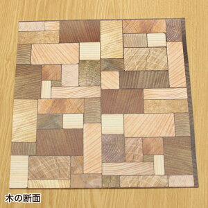 SV[g mt CASA SHEET Ǘp 230mmp y[֑ΉE10܂Łz