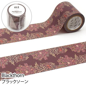 }XLOe[v }Xe mt EBAEX 50mm×7m