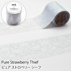 }XLOe[v }Xe mt EBAEX 50mm×7m