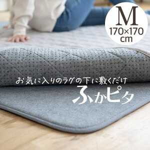 Op~ ӂs^ M 170×170cm ` 2 􂢉 ~ߕt I[V[Y g[Ή zbgJ[ybgΉ