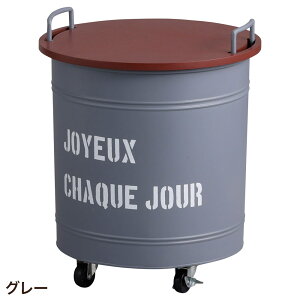 [ Wt t^t LX^[t  VN[EEhJ[g