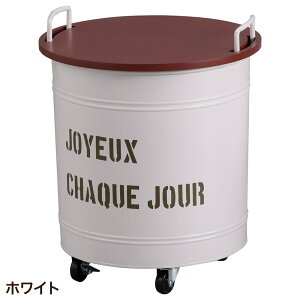 [ Wt t^t LX^[t  VN[EEhJ[g