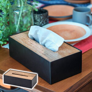 eBbVJo[ eBbV{bNX  [  eBbVP[X 41317