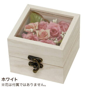 fBXvCP[X AWECh{bNX (S)