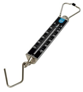 V ΂ 50kg ʖڐ ؖȊOp 74488