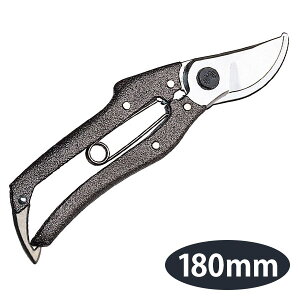 v200  180mm A؁Eʎp {Edl jVKLH N-202