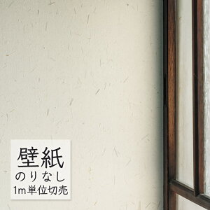 ǎ ̂Ȃ NX VR[ WALL PRO n zi SW30013 i1mPʁj