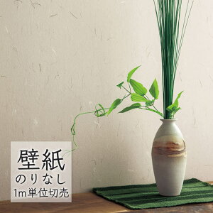 ǎ ̂Ȃ NX VR[ WALL PRO n zi SW30016 i1mPʁj