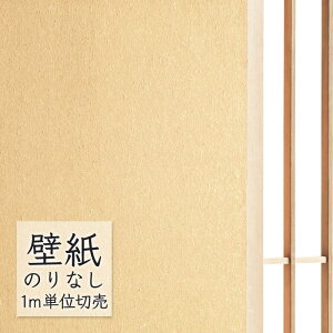 ǎ ̂Ȃ NX VR[ WALL PRO n zi SW30019 i1mPʁj