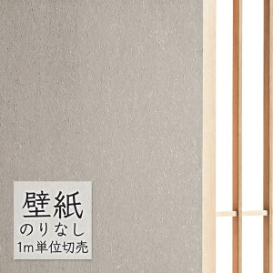 ǎ ̂Ȃ NX VR[ WALL PRO n zi SW30021 i1mPʁj