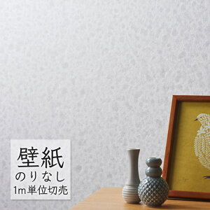 ǎ ̂Ȃ NX VR[ WALL PRO n zi SW30022 i1mPʁj