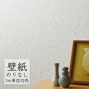 ǎ ̂Ȃ NX VR[ WALL PRO n zi SW30023 i1mPʁj