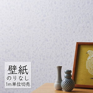 ǎ ̂Ȃ NX VR[ WALL PRO n zi SW30024 i1mPʁj