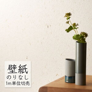 ǎ ̂Ȃ NX VR[ WALL PRO n aE SW30051 i1mPʁj