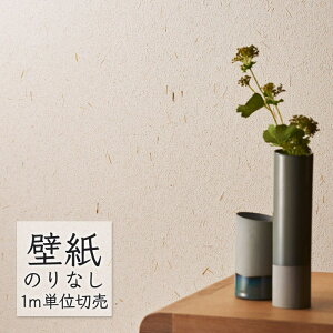 ǎ ̂Ȃ NX VR[ WALL PRO n aE SW30056 i1mPʁj