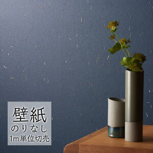 ǎ ̂Ȃ NX VR[ WALL PRO n aE SW30058 i1mPʁj