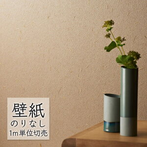 ǎ ̂Ȃ NX VR[ WALL PRO n aE SW30060 i1mPʁj