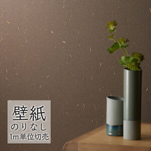 ǎ ̂Ȃ NX VR[ WALL PRO n aE SW30061 i1mPʁj